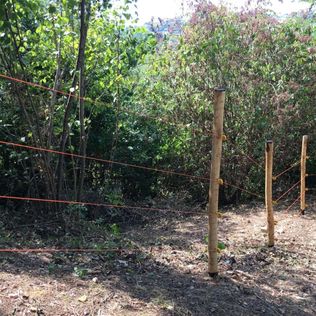 The Crucial Importance of Electric Fences in Gardens and Allotments