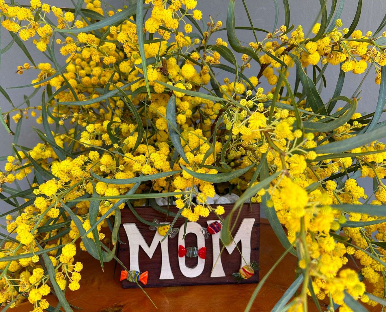 3 piante fiorite da regalare in primavera - Idee fiorite