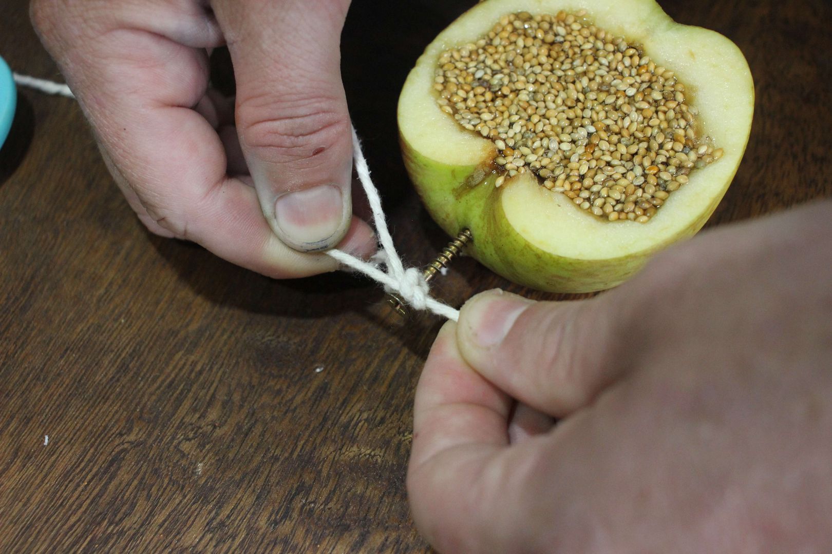 Adım 8: Bir İp Parçasını Bağlayın