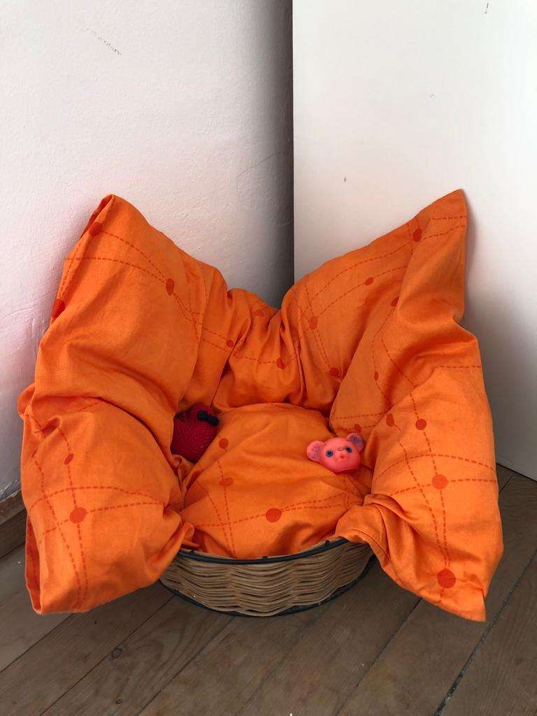 Adım 8: Sepete ekleyin