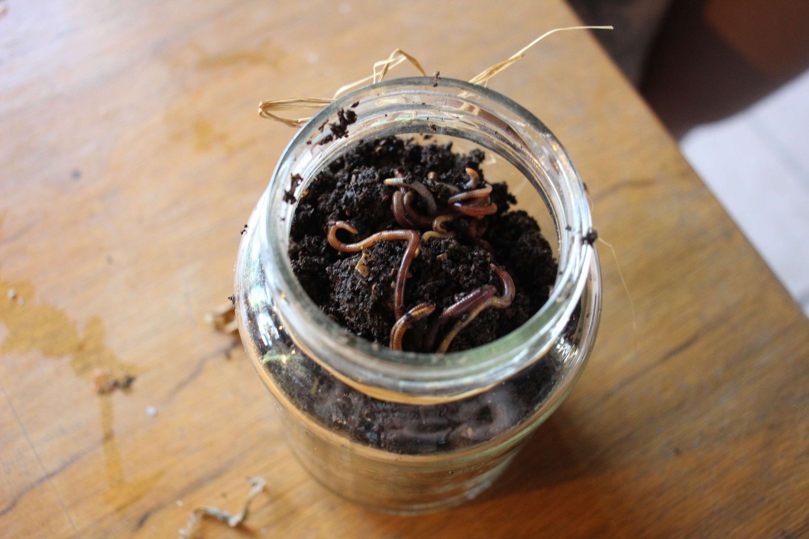 Adım 5.2: Çalışmanızı görselle karşılaştırın