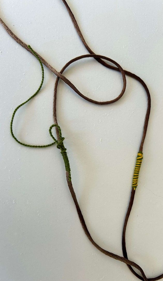 Adım 1: Deri kordonu kesin