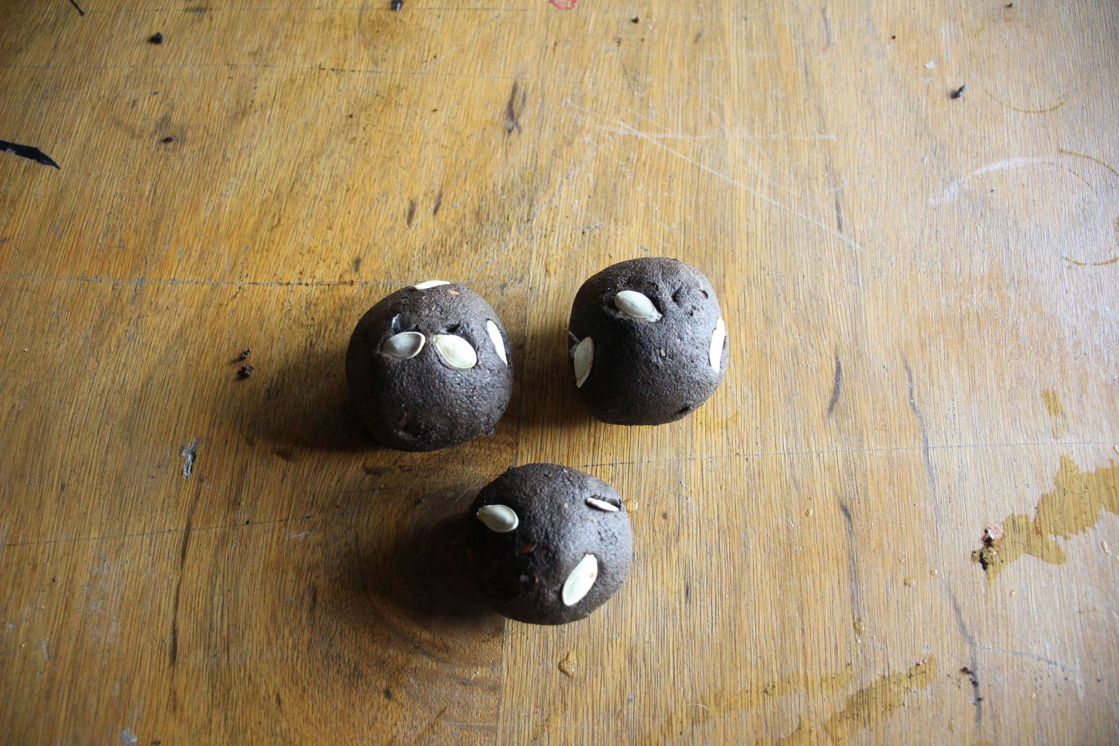 Adım 6: Kuruması için bir gün verin