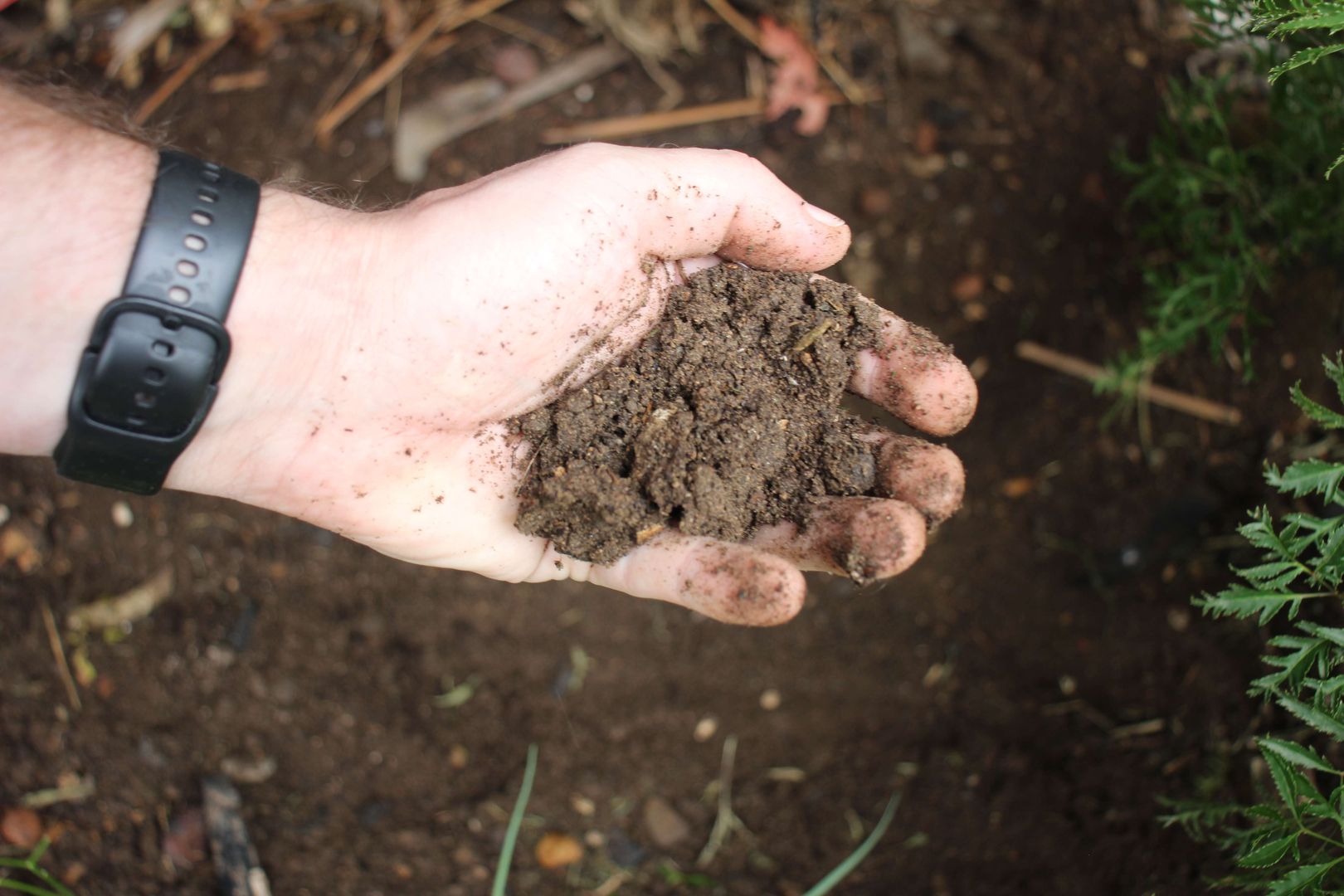 Adım 3: Bir avuç dolusu toprak alın