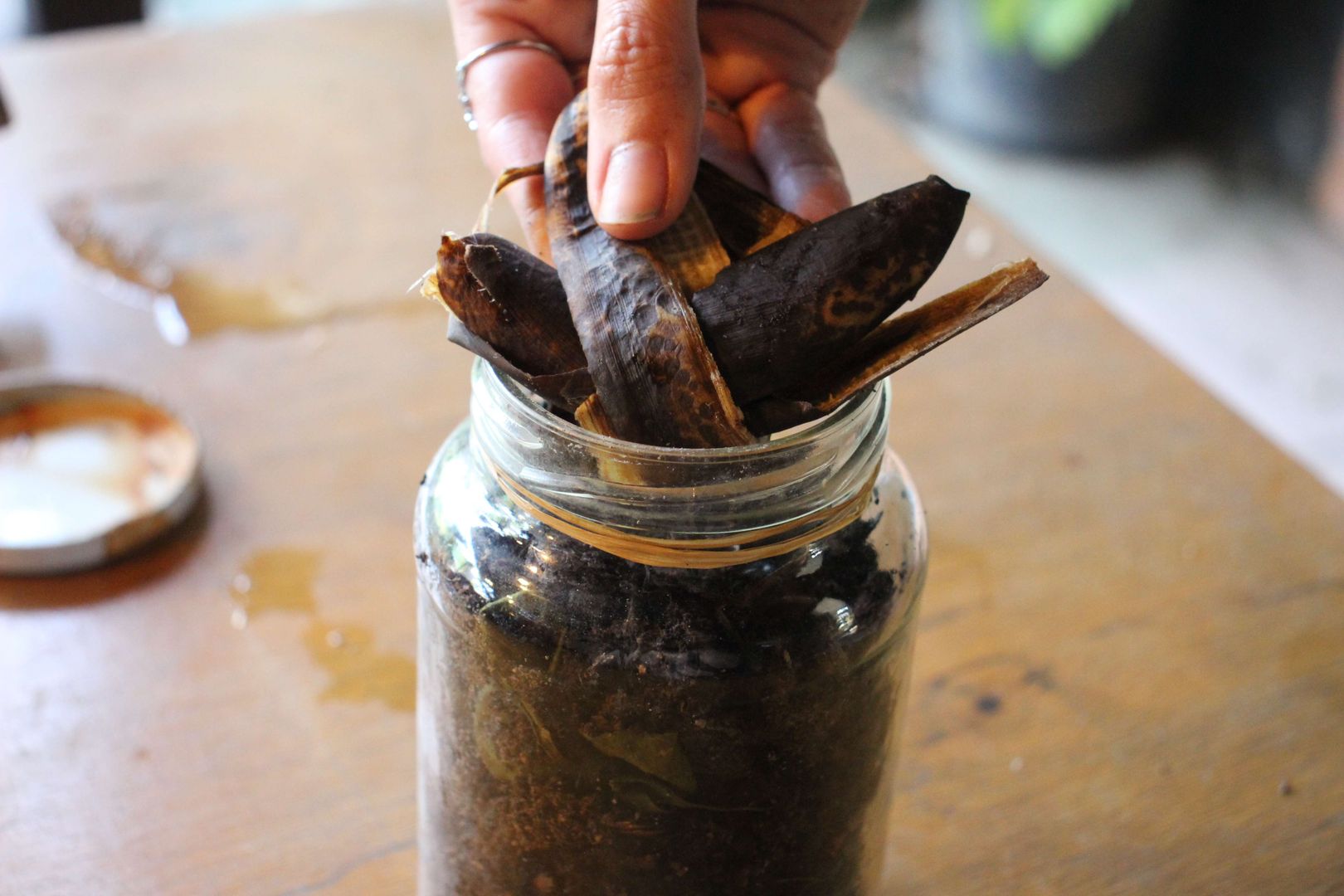 Adım 6: Solucanlar için yiyecek ekleyin