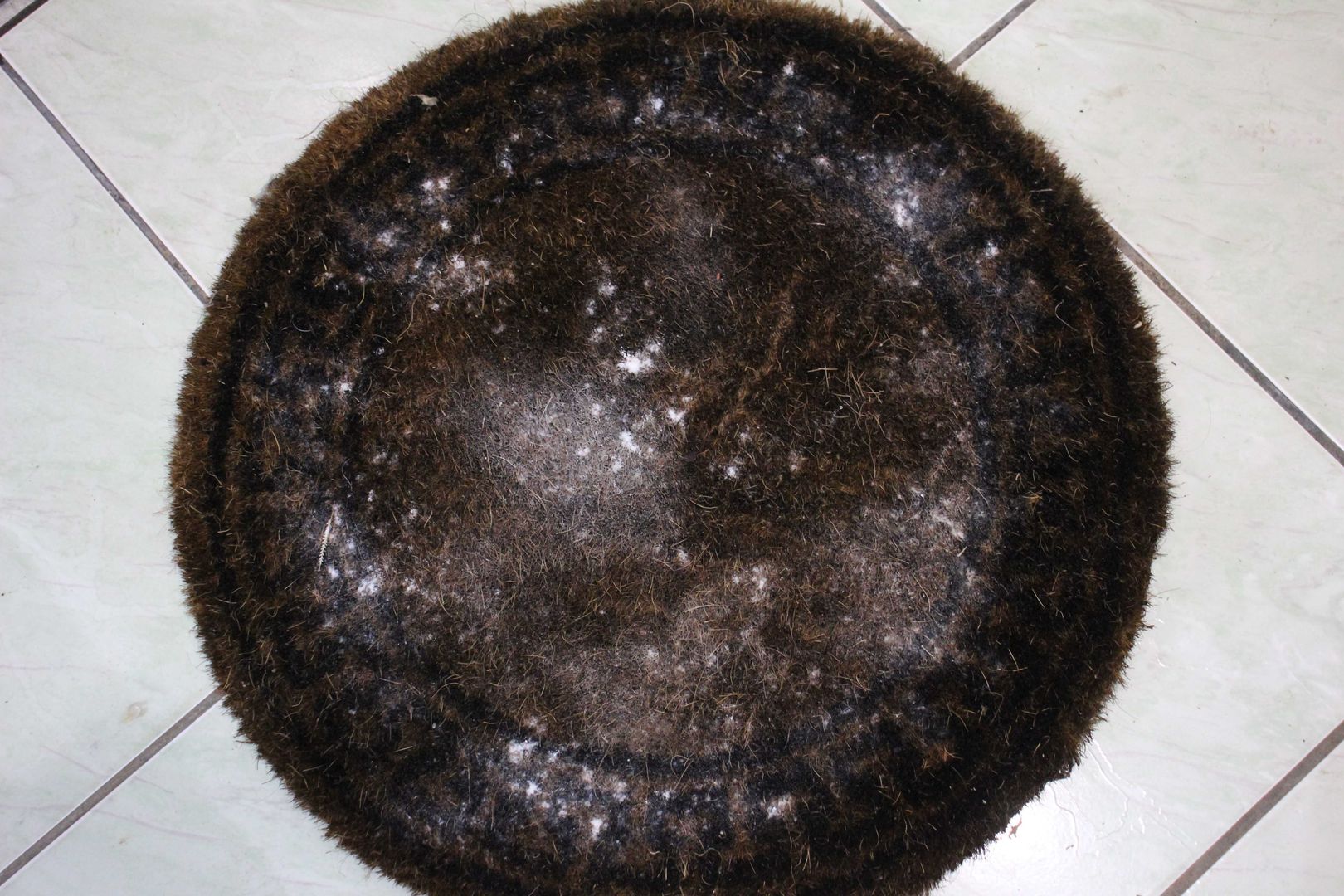 Top Care tips on how to clean your door mat - The Turtle Mat Blog - For  news, features and competitions! The Turtle Mat Blog – For news, features  and competitions!