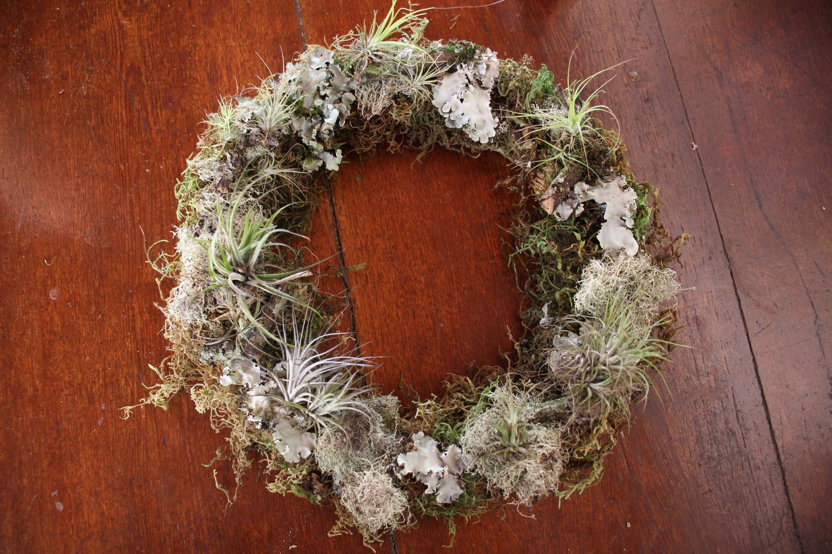 Make a DIY Preserved Moss Wreath in 5 Easy Steps homify