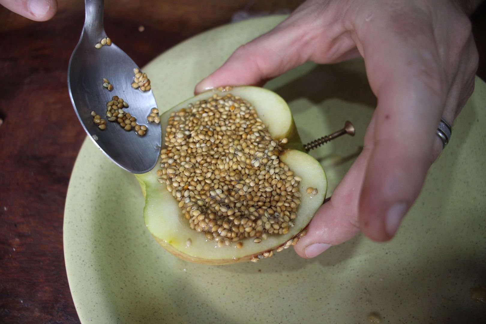 Adım 6: Elmayı Doldurun