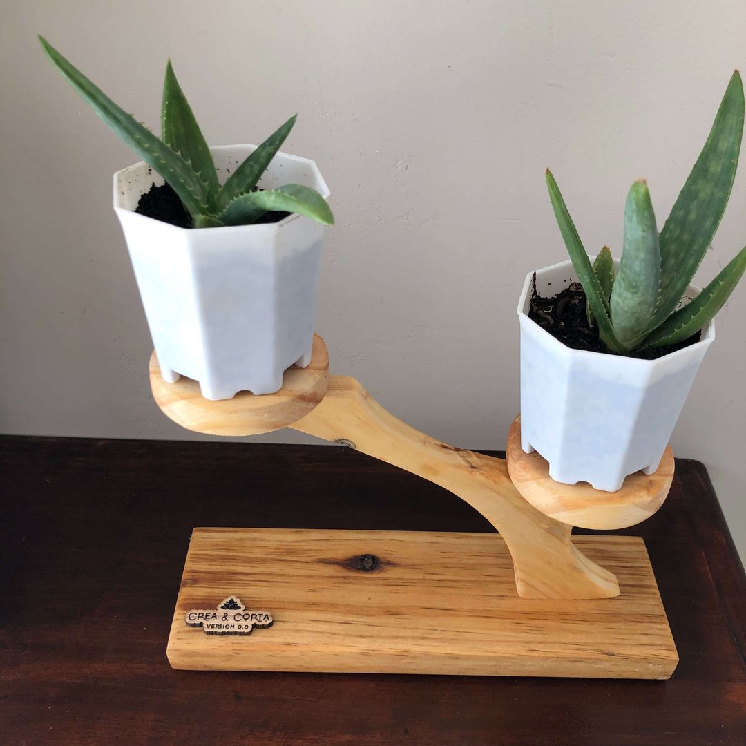 Wie man eine Monstera Pflanze verjngt und vermehrt | homify