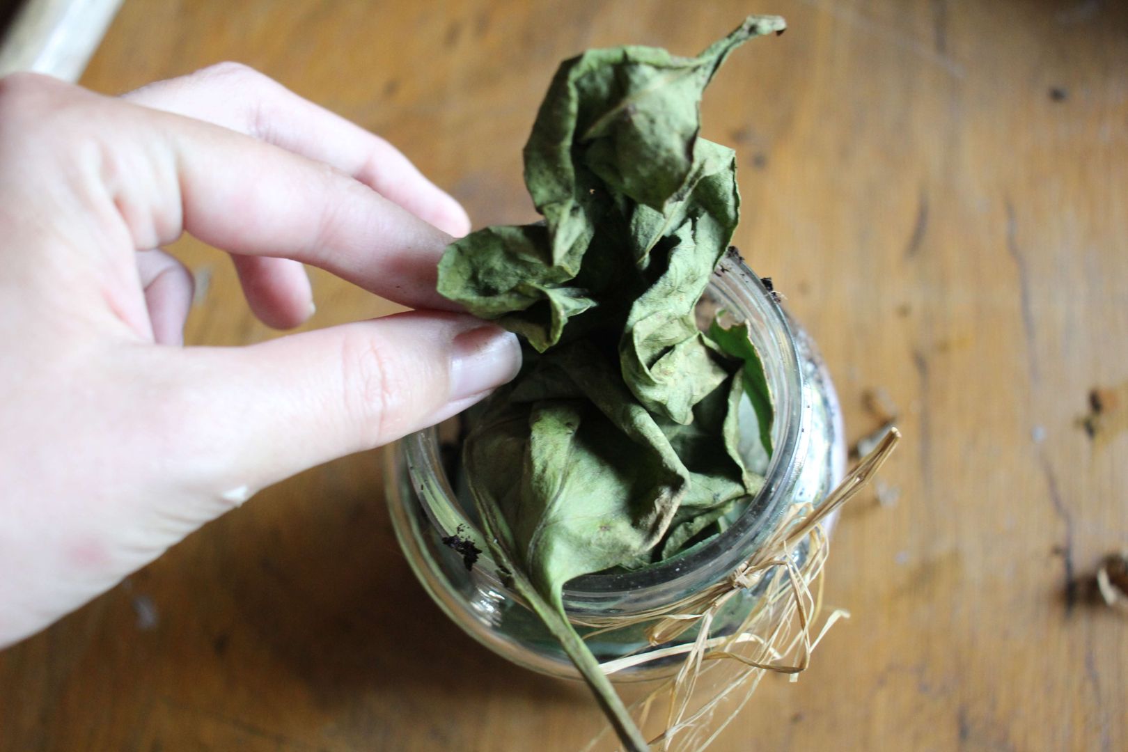 Adım 3: Malç ekleyin