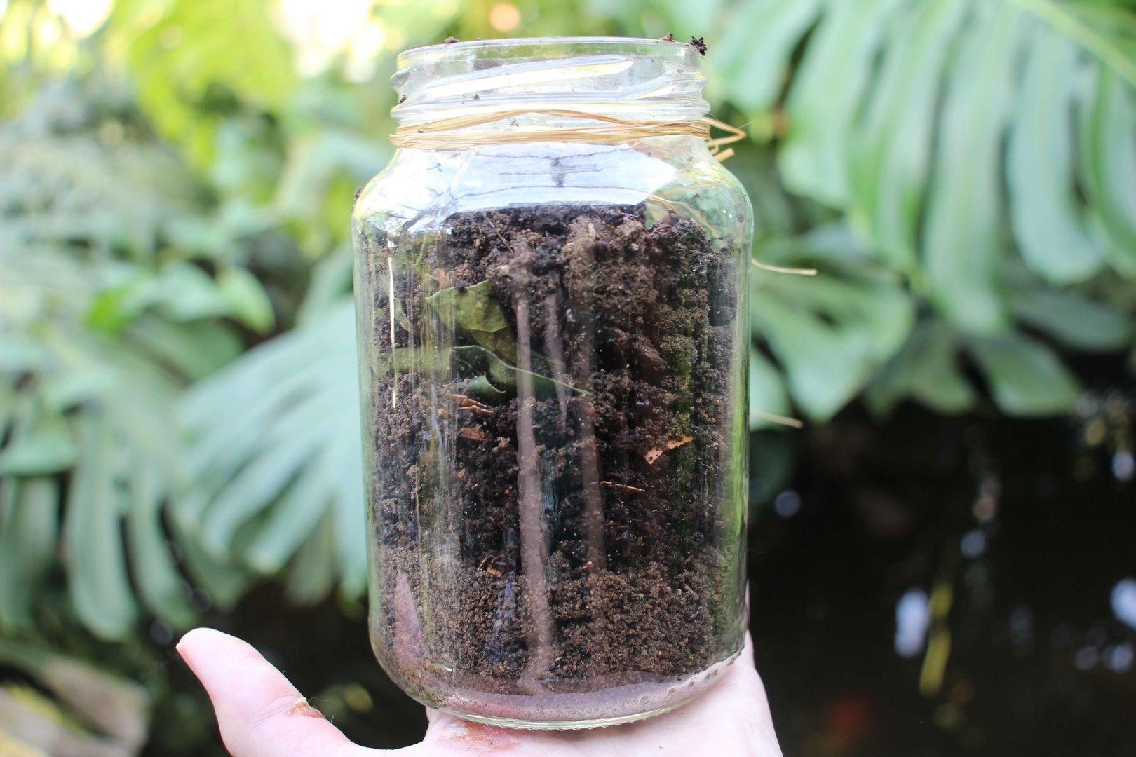 Adım 4: Tekrarlayın