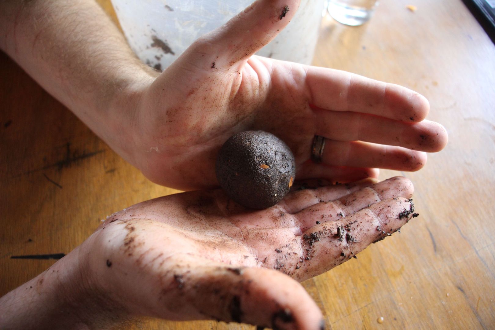 Adım 5: Tohum bombalarını yuvarlayın