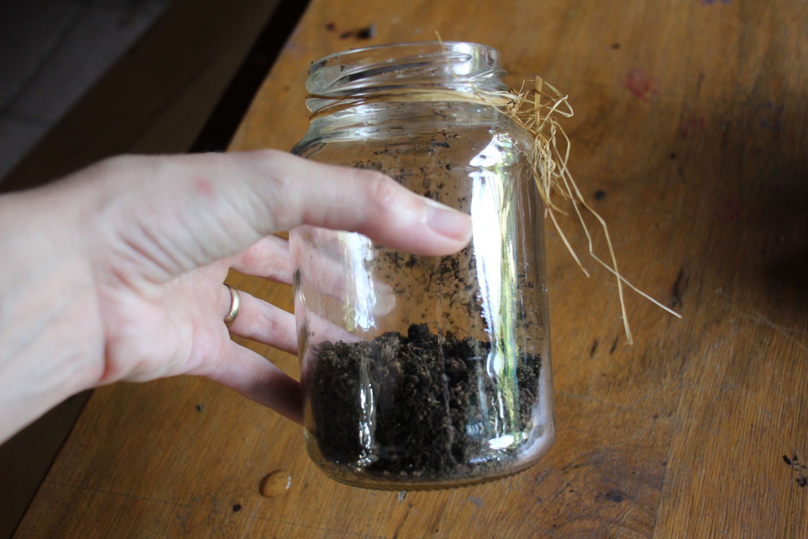 Adım 1.2 Görüntüyü kontrol edin