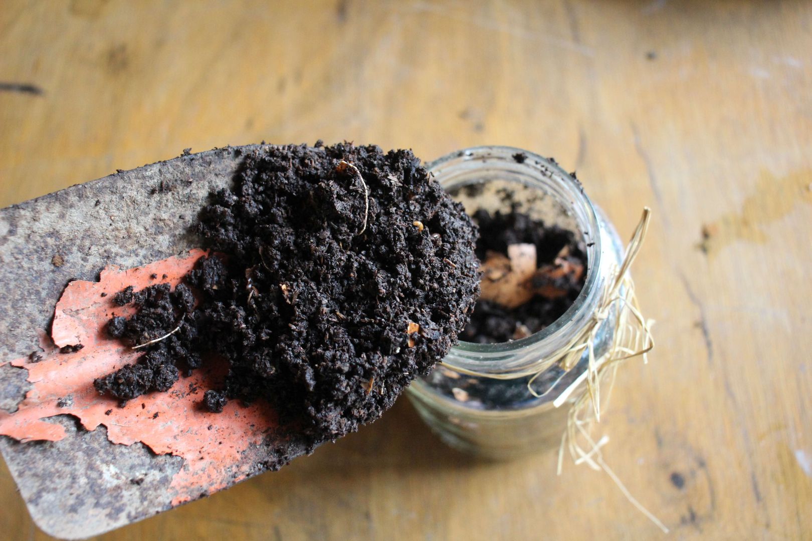 Adım 2: Organik madde açısından zengin toprak ekleyin