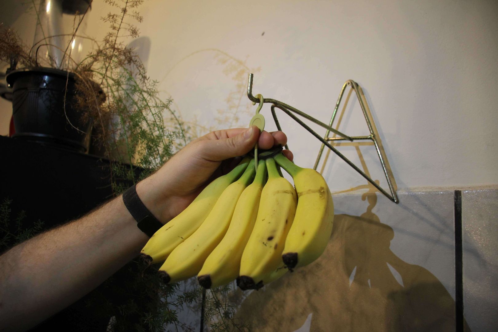 Keep your bananas ripe for up to 15 days longer with this super simple  water trick