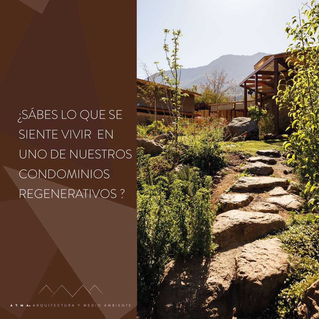 CONDOMINIO LOS MAITENES AYMA Condominios Planta, comunidad vegetal, Ecorregión, Paisaje natural, Cielo, Pendiente, planta terrestre, Madera, Adaptación, Césped