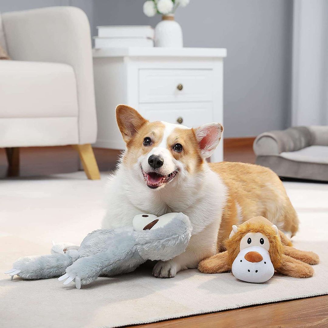 Best products for your pet, Press profile homify Press profile homify غرف اخرى