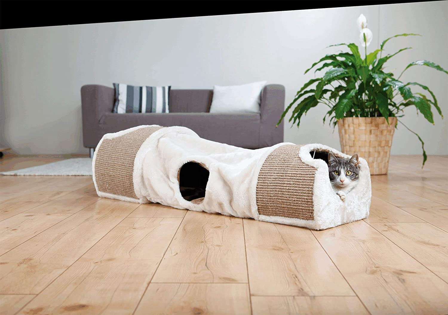 Best products for your pet, Press profile homify Press profile homify Daha fazla oda