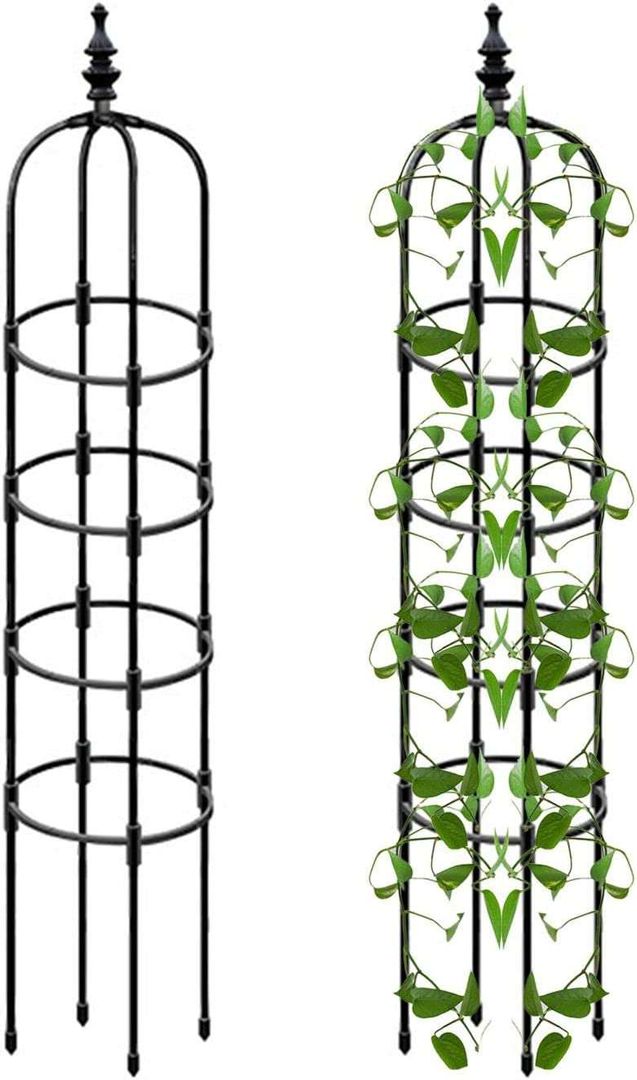 amazon products Press profile homify Giardino Zen Flowerpot, Houseplant, Line, Plant, Font, Terrestrial plant, Art, Symmetry, Drawing, Pole