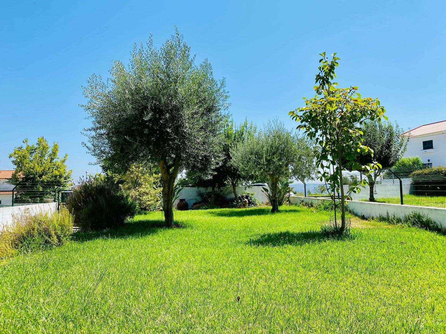 Traditionelles Haus mit Garten in Portugal homify