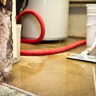 St. George Mold Removal Solutions