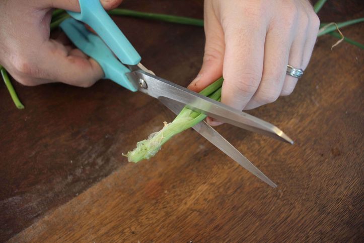 How to Cut Green Onions (4 Easy Steps)