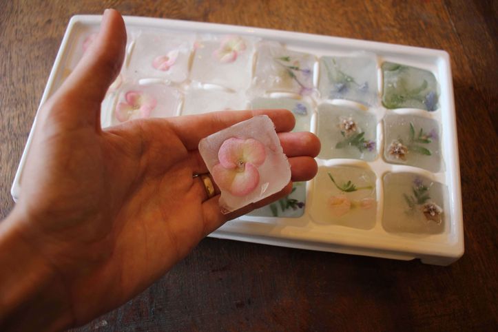 How to Remove Ice Cubes From a Tray: 8 Steps (with Pictures)