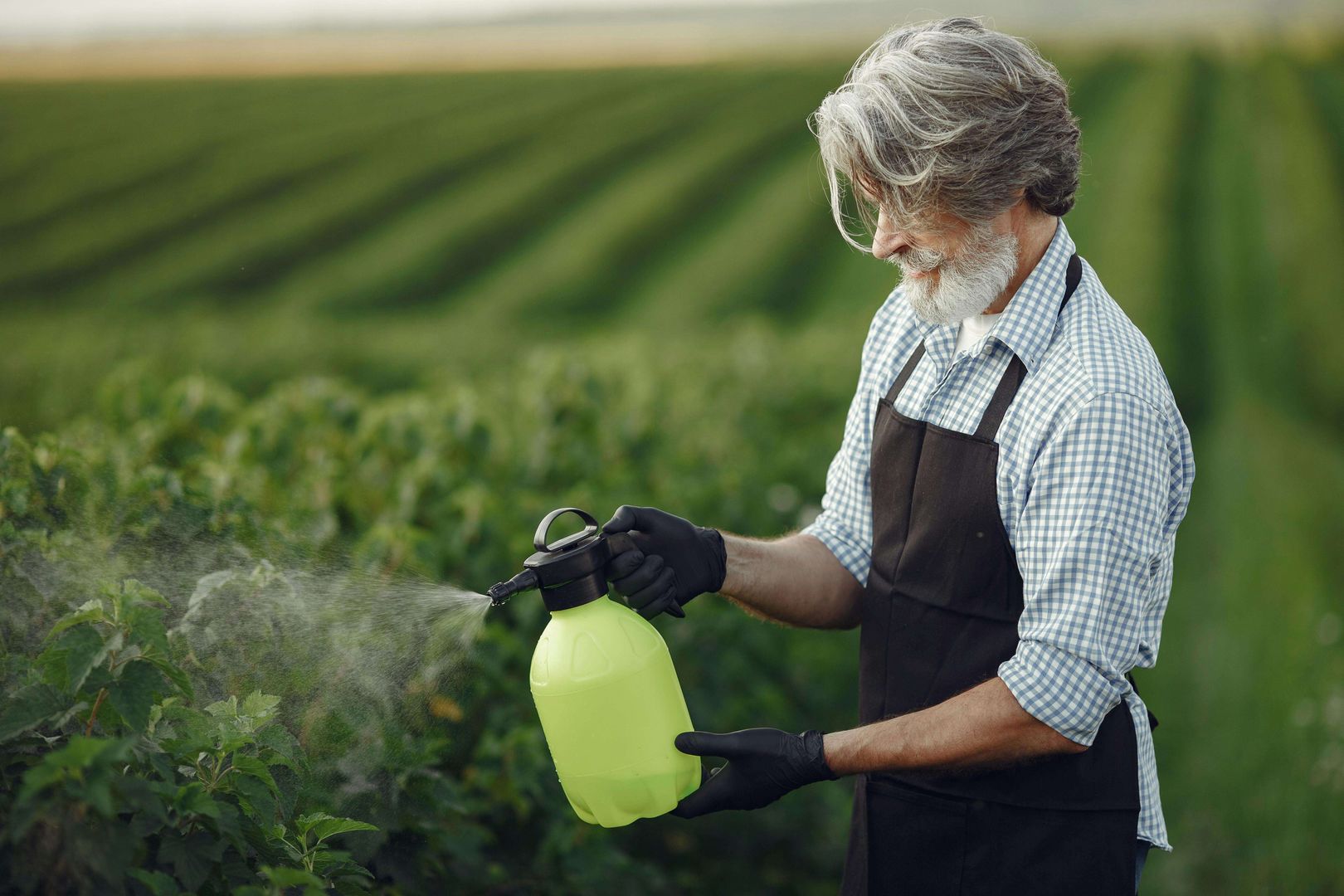 Alles over het bemesten van je gazon voor een groen resultaat | homify