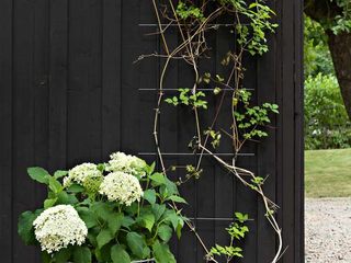 Create rooms in your garden with Korbo as planters, Korbo Korbo Jardines en la fachada
