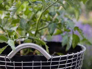 Planting with Korbo Baskets , Korbo Korbo Jardins de fachada
