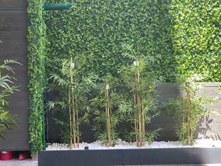 Jardín Vertical Artificial, Allgrass Solutions Allgrass Solutions Balcones y terrazas de estilo tropical