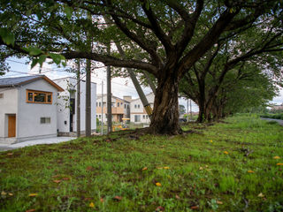 Tamaboko-House 2020 / yasuda-koumuten, yasuda-koumuten yasuda-koumuten 一戸建て住宅