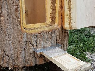 Bienenhaltung in Klotzbeute, Holzbau Bohse Holzbau Bohse Binnentuin Hout Hout