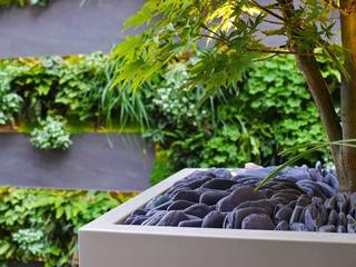 Roof Garden Detail Design, MyLandscapes MyLandscapes Modern Terrace