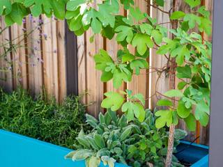 ROOF TERRACE GARDEN DESIGN, ED Gardens ED Gardens Interior garden