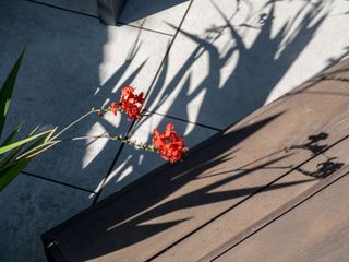 Multi-Level Garden With Office and Privacy Planting, ED Gardens ED Gardens Zen garden