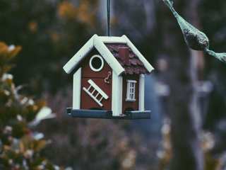 SeedingUp -https://www.verti.it/blog/isolamento-termico-casa/ Press profile homify Apartment Pet supply, Branch, Twig, Tree, Wood, Birdhouse, Plant, House, Window, Bird feeder