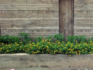 Compound Wall - Uttarahalli, Cherry Gardens Cherry Gardens فناء أمامي