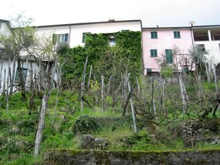 Lago - La riqualificazione di un antico borgo ODD - Officina D'architettura e Design Terrace house Pianta, Proprietà, Comunità vegetale, Finestra, Edificio, Apparecchio, Lotto di terreno, Cielo, Albero, Erba