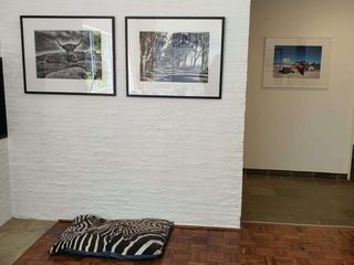 AFTER IMAGE OF INTERIOR side wall TO FIREPLACE Deborah Garth Interior Design International (Pty)Ltd Corridor & hallway Picture frame, Property, Wood, Interior design, Art, Flooring, Floor, Building, Rectangle, Hardwood