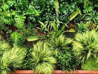 Créer une oasis de verdure dans un lotissement, Créateurs d'Interieur Créateurs d'Interieur 지중해스타일 발코니, 베란다 & 테라스