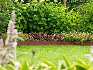 EA20250908-23963 Press profile homify Garage Doors Green, Leaf, Shrub, Garden, Groundcover, Landscaping, Herbaceous plant, Lawn, Backyard, Plantation