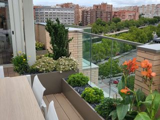 Ático espectacular, Markoverde Paisajismo Markoverde Paisajismo Modern balcony, veranda & terrace