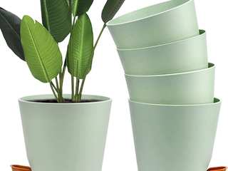 Xiumeso Plant vases , Press profile homify Press profile homify حديقة Zen