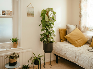 EA20251128-24126 Press profile homify Industrial style dressing room