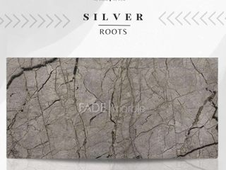 Natural Beauty of Silver Roots Marble, Fade Marble & Travertine Fade Marble & Travertine Ванная комната в стиле модерн