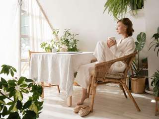 EA20250804-23911 Press profile homify Eclectic style dressing rooms Furniture, Flowerpot, Houseplant, Chair, Natural material, Living room, Wicker, Linens, Wood flooring, Lamp