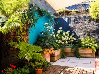 Stylish Sunny Courtyard in East London, Earth Designs Earth Designs Jardins de fachada