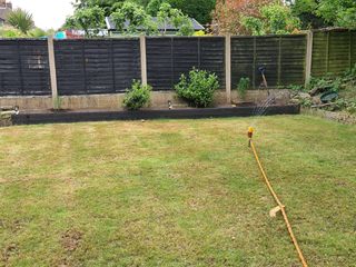 Lawn Renovation Feed, Seed & Levelling The Relentless Gardener Front yard Plant, Tree, Fence, Land lot, Grass, Brickwork, Shrub, Groundcover, Landscape, Home fencing