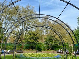 EA20250908-23963 Press profile homify Garage Doors Green, Arch, Garden, Shrub, Shade, Botanical garden, Landscaping, Walkway, Park, Yard